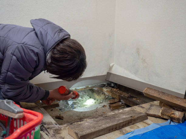 Best Asbestos and Lead Testing During Mold Inspection  in Sharon Center, OH