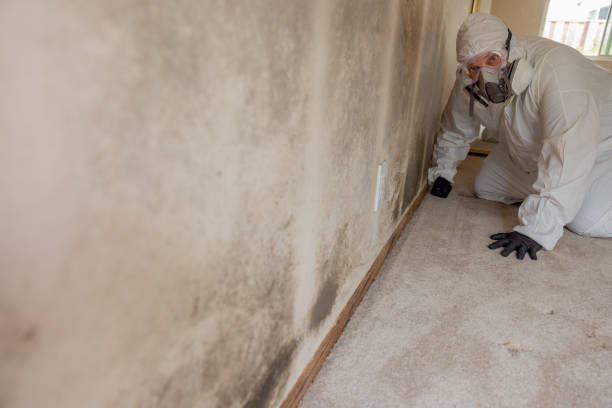 Best Mold Removal for HVAC Installations  in Sharon Center, OH